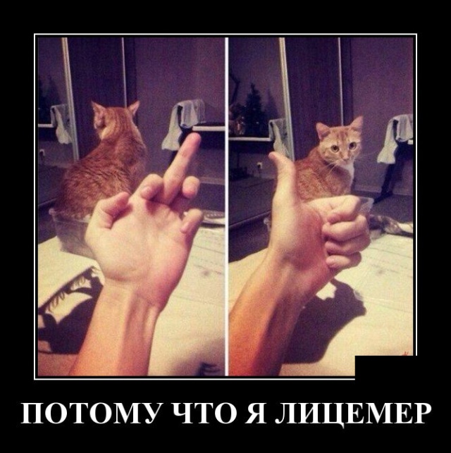 Новые демотиваторы демотиваторы