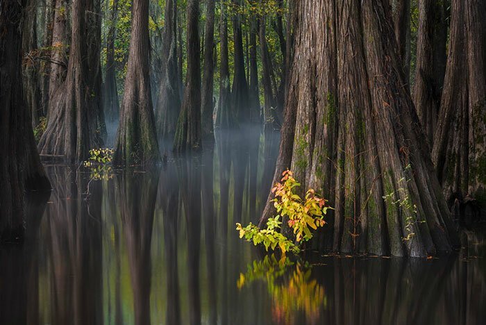 Наша потрясающая планета: 30 лучших пейзажей с конкурса Landscape Photographer Of The Year природа