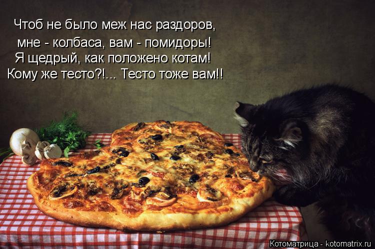 Котоматрица: Чтоб не было меж нас раздоров, мне - колбаса, вам - помидоры! Я щедрый, как положено котам! Кому же тесто?!... Тесто тоже вам!!