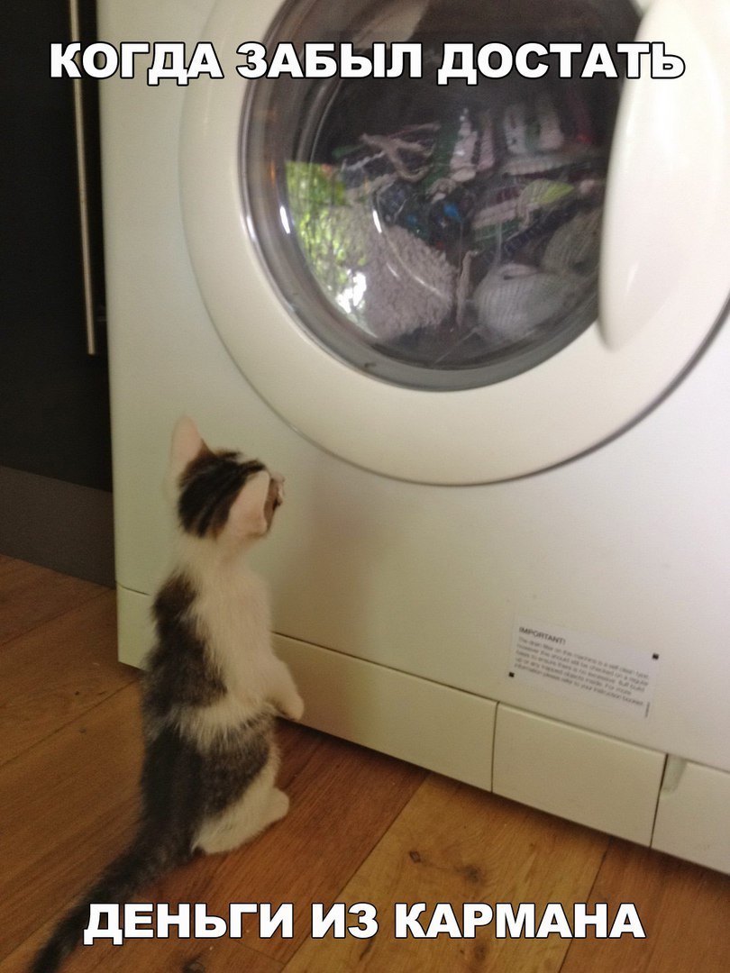 Прикольные и забавные фотографии с надписями для улыбки и позитива Прикольные и забавные фотографии с надписями для улыбки и позитива