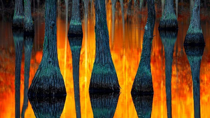 Наша потрясающая планета: 30 лучших пейзажей с конкурса Landscape Photographer Of The Year Наша потрясающая планета: 30 лучших пейзажей с конкурса Landscape Photographer Of The Year природа