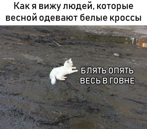 Праздничные фото-приколы и не только Праздничные фото-приколы и не только