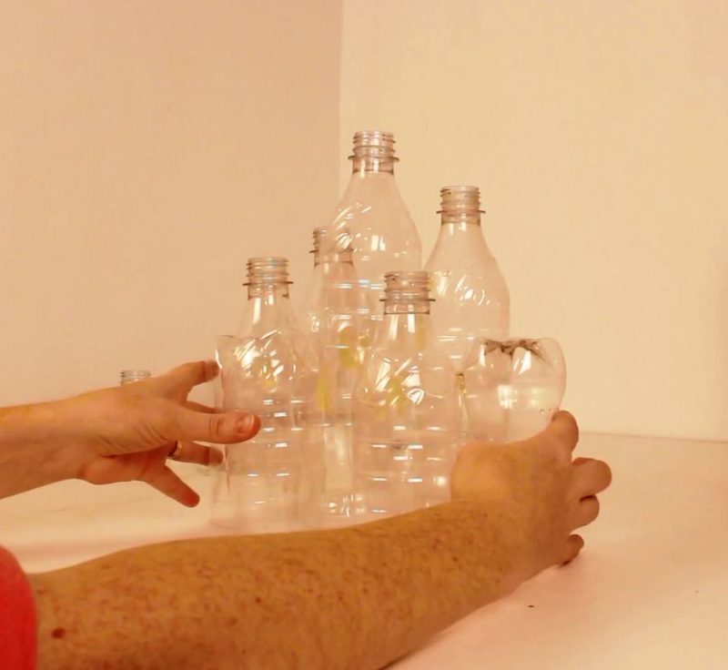 Не трогай, это на Новый год: в сети скупают кодовый замок для бутылок