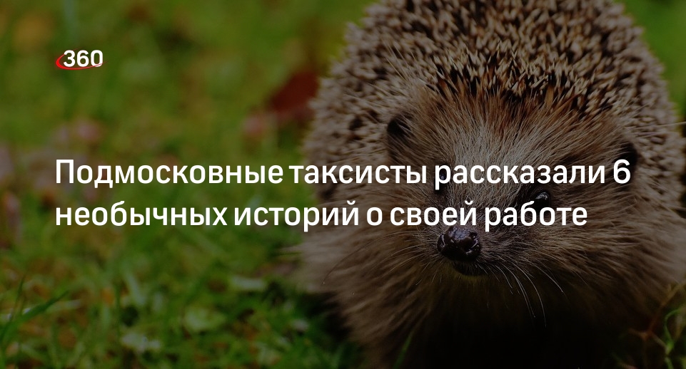 Подмосковные таксисты рассказали 6 необычных историй о своей работе