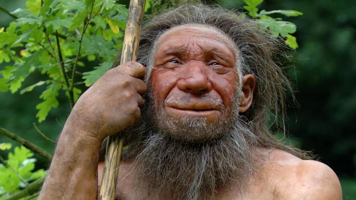 Последнее исследование учёных демонстрирует гибкость мышления неандертальцев. 