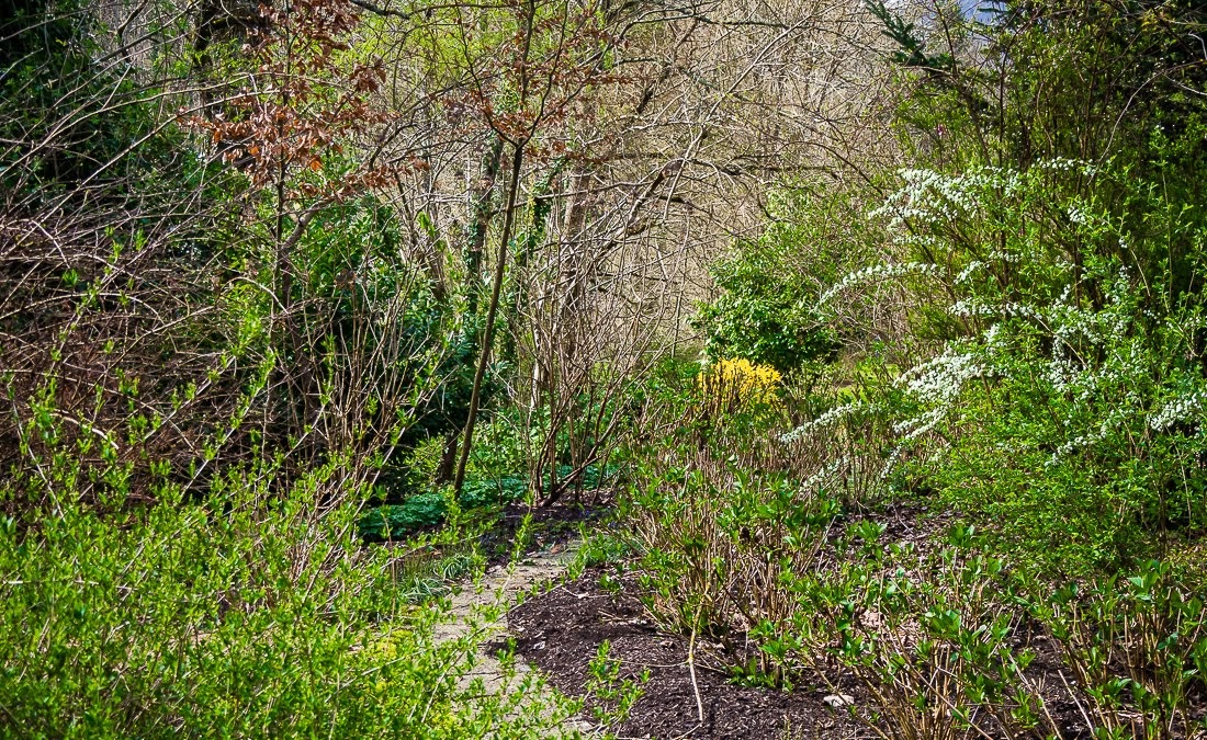 Очередные 10 000 шагов к здоровью Очередные 10 000 шагов к здоровью коронавирус,медицина,общество,яостаюсьдома