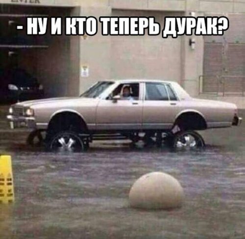 Прикольные картинки для всех (50 шт)