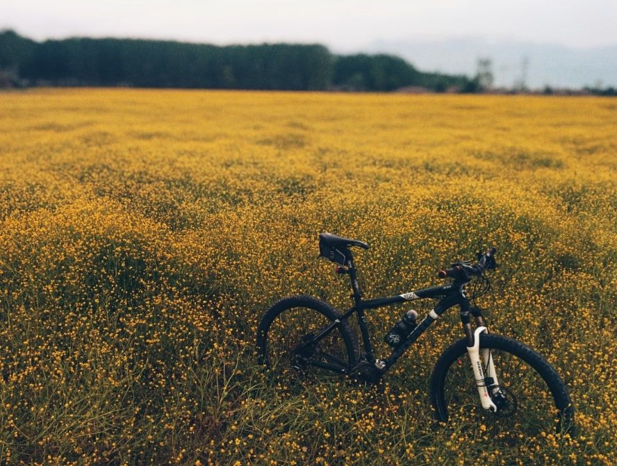 Житель Тольятти сдал в ломбард арендованные велосипеды