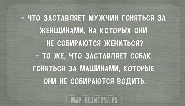 12 кротких шуток в стиле «Какой вопрос — такой ответ» 12 кротких шуток в стиле «Какой вопрос — такой ответ»