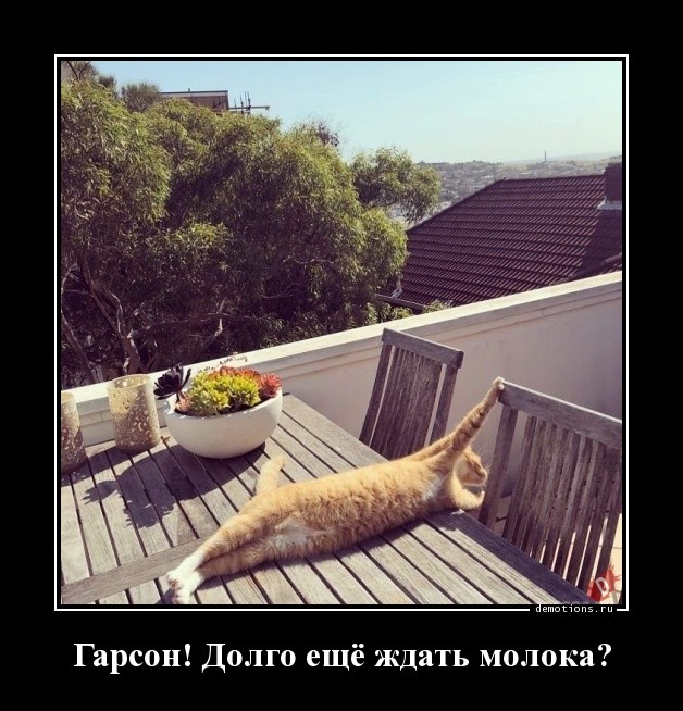 Демотиваторы на любой вкус: «И так всю неделю» Демотиваторы на любой вкус: «И так всю неделю»