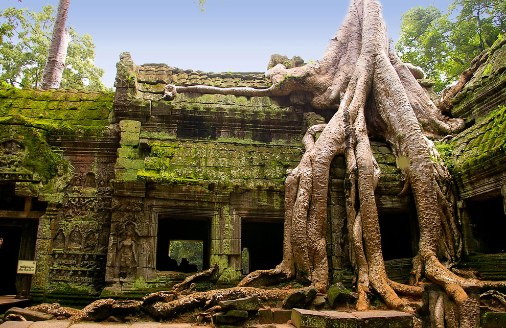 Камбоджийский храм Та Пром (Ta Prohm) и гигантские деревья