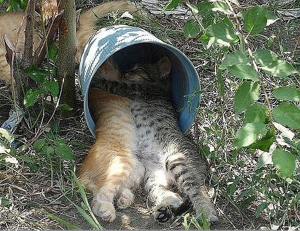 Подборка прикольных картинок и милых фотографий красивые фотографии,угарные фотки,шикарные фотографии