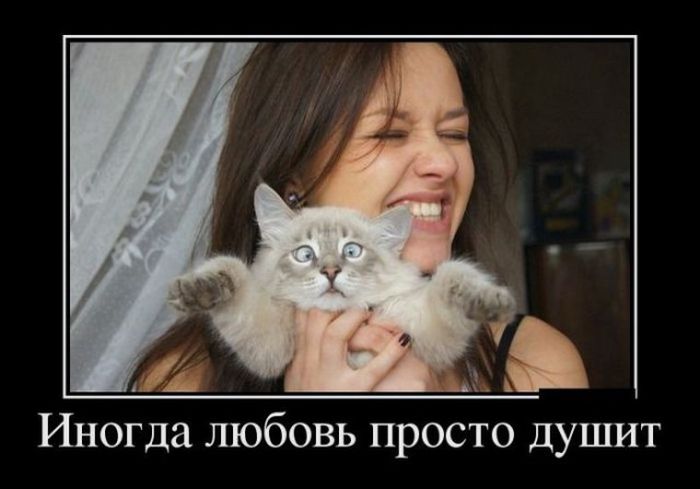 Классные и прикольные пятничные демотиваторы из нашей жизни Классные и прикольные пятничные демотиваторы из нашей жизни демотиваторы свежие,приколы,смешные демотиваторы,юмор