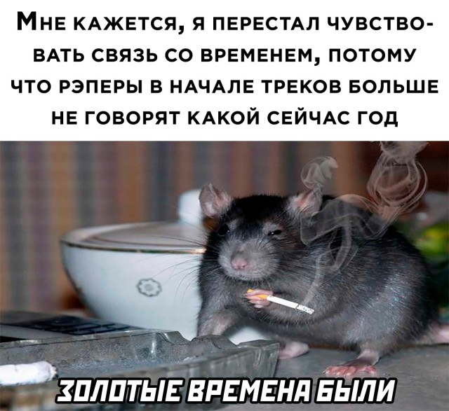 Подборка прикольных картинок  смешные картинки,юмор