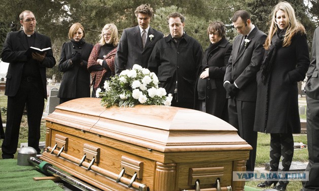 Объяснения нелепых законов законы,нелепости