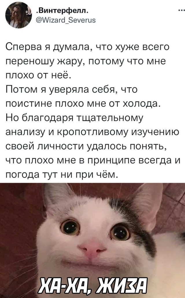 Подборка смешных картинок  приколы,смешные картинки,юмор