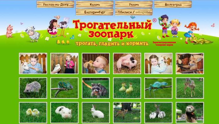Зоопарки в Ростове: адрес, фото, режим работы