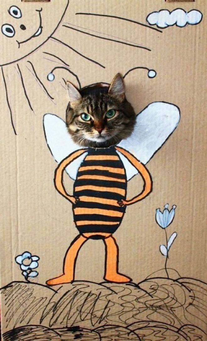 Подборка прикольных картинок Подборка прикольных картинок приколы,смешные картинки,юмор