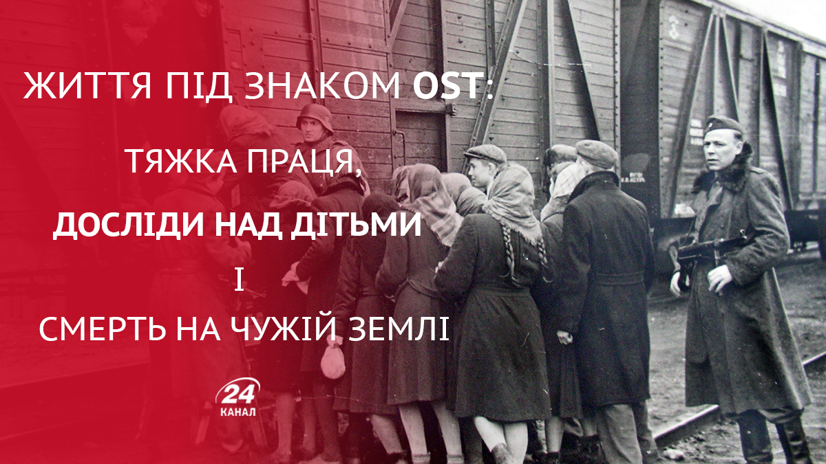 Вина Европы в геноциде русского народа только, населения, чтобы, более, русских, миллионов, советских, русского, войны, Германии, Гитлера, России, Европы, человек, немцы, почти, части, против, миллиона, время