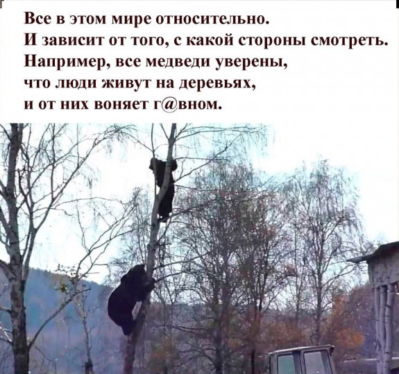 Животный юмор в картинках Животный юмор в картинках