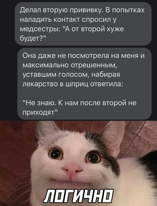 Подборка прикольных картинок  смешные картинки,юмор