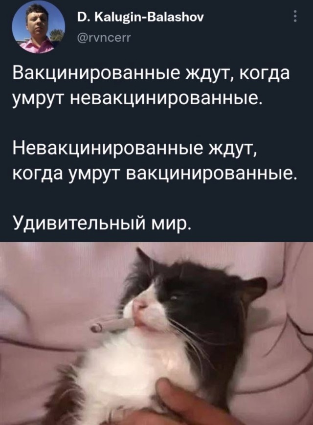 Смешные картинки 13 января 2022 года