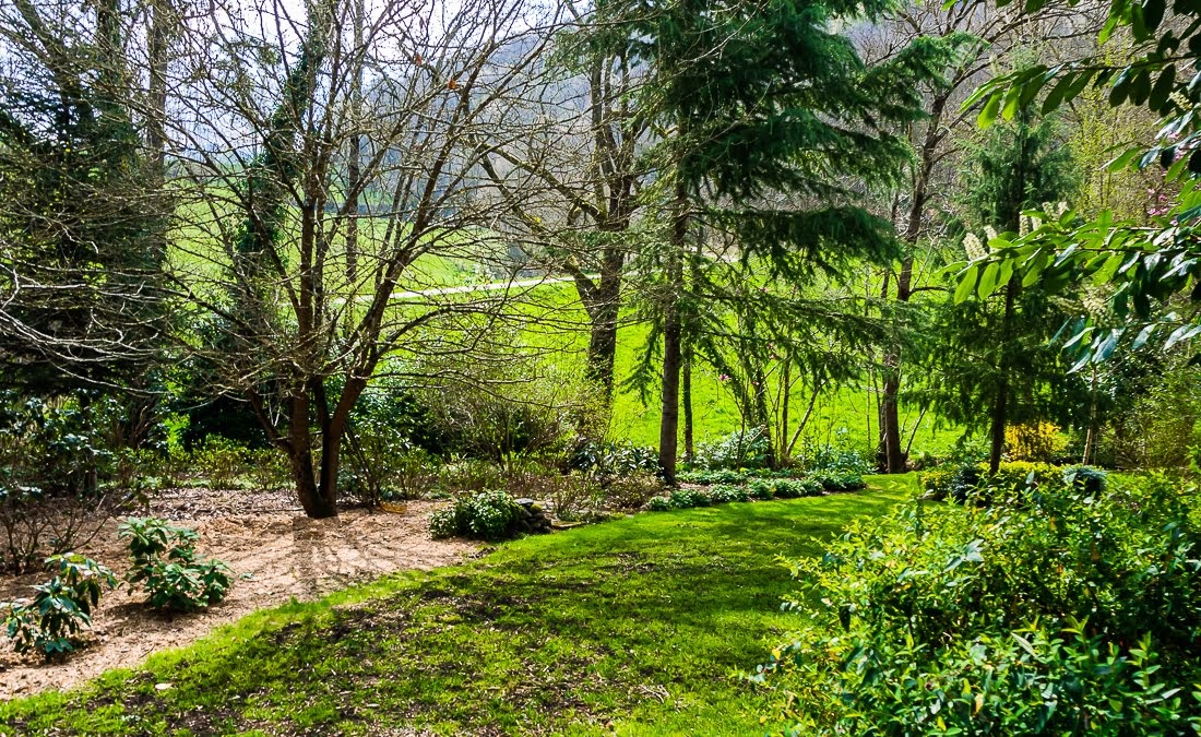 Очередные 10 000 шагов к здоровью Очередные 10 000 шагов к здоровью коронавирус,медицина,общество,яостаюсьдома