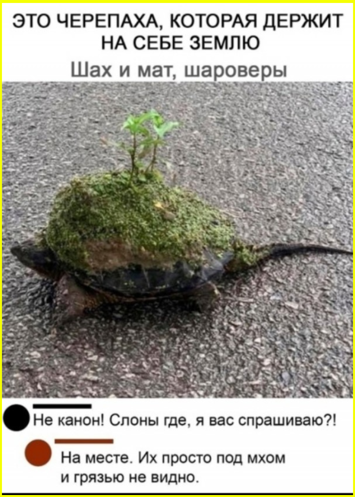 Доброутрешние весёлые картинки. С пятницей! 