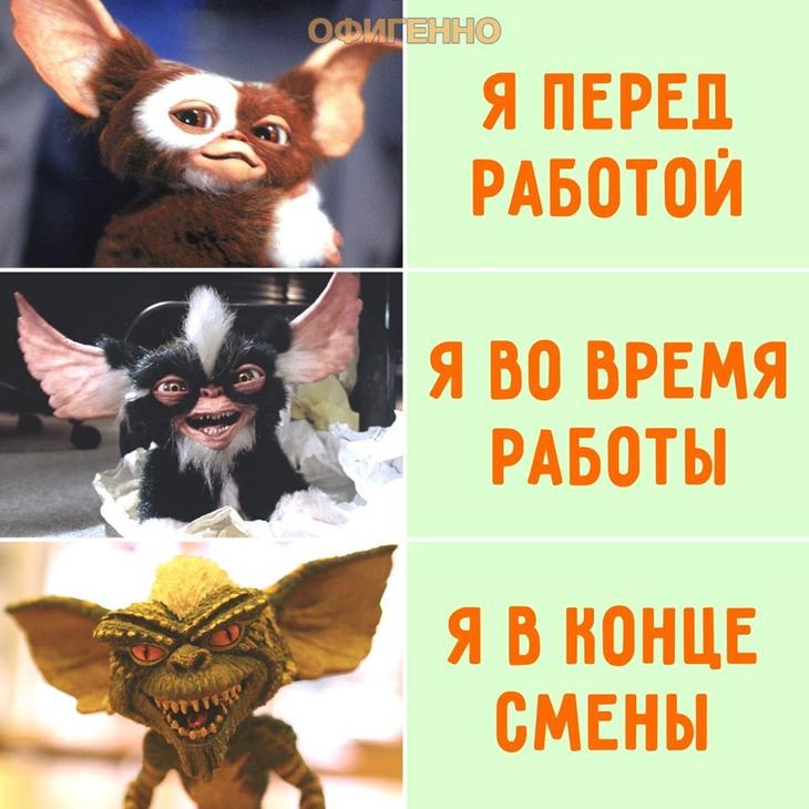 Подборка юмора для отличного настроения Подборка юмора для отличного настроения