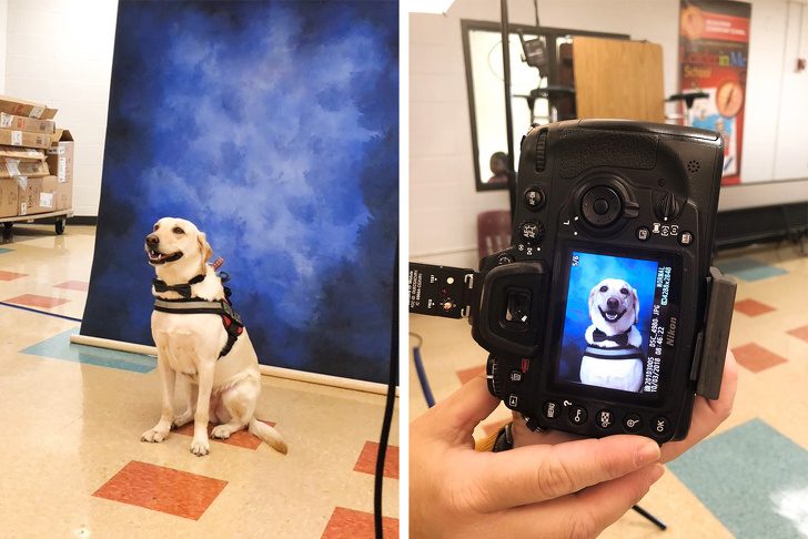 Фотографии животных для отличного настроения Фотографии животных для отличного настроения