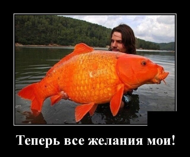 Утренняя подборка прикольных картинок №11 Утренняя подборка прикольных картинок №11 отдых