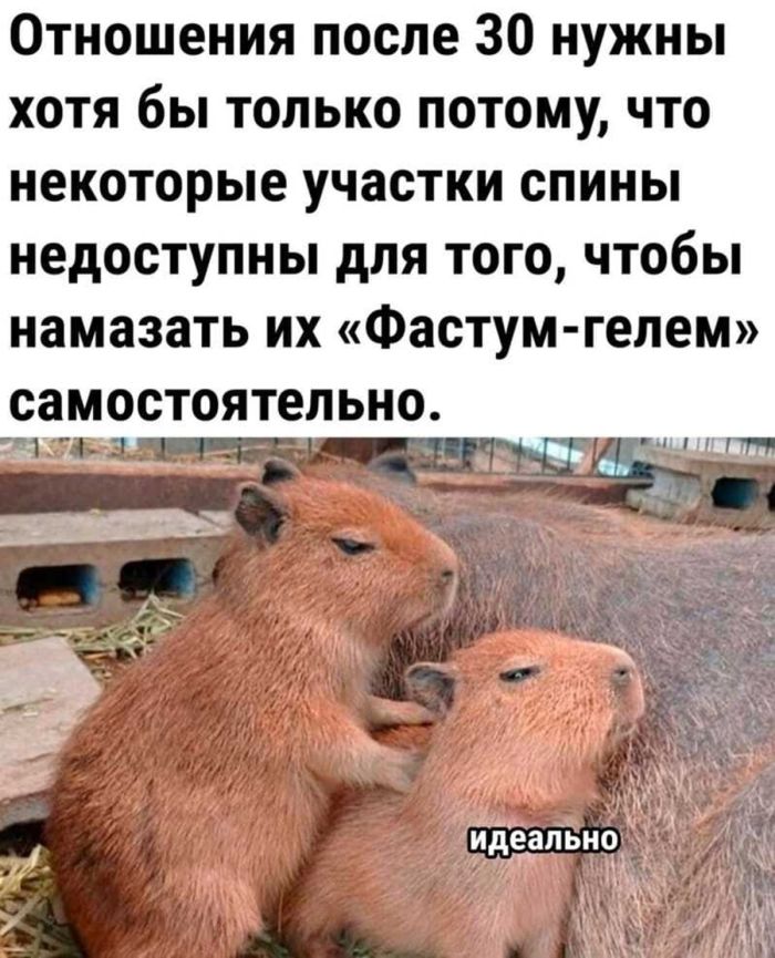 Смешные картинки с надписями и здоровье 