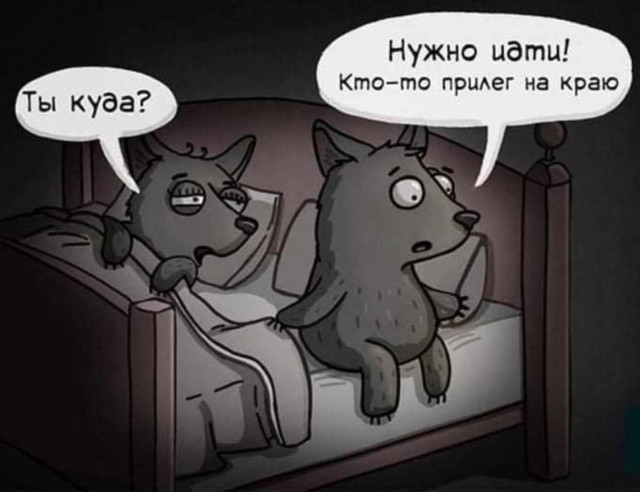 Фото-приколы поржать 