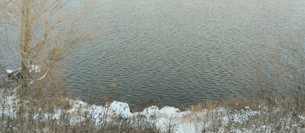 Росприроднадзор Рязанской области рассказал о качестве воды в Оке и её притоках