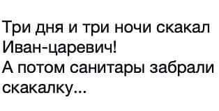 Свежая подборка юмора, который сотворит чудеса с настроением 