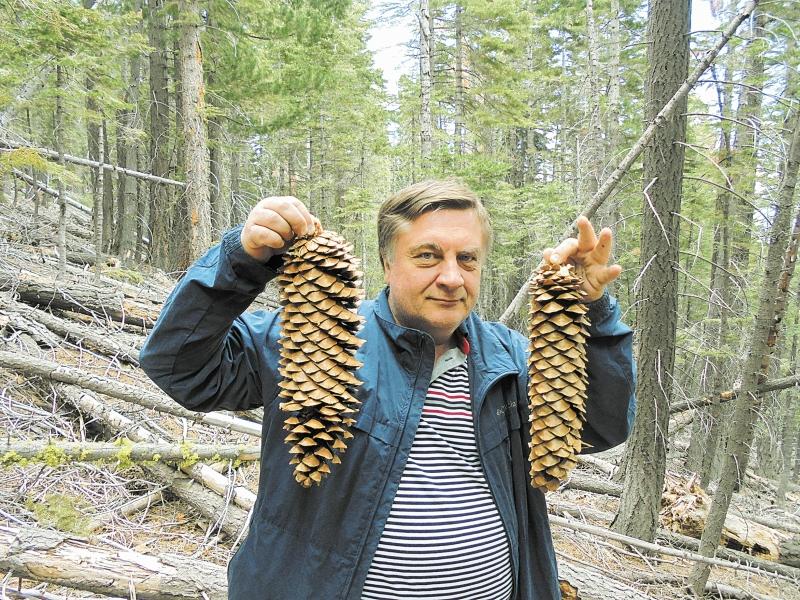 Туманов Андрей Владимирович Его Дача Фото