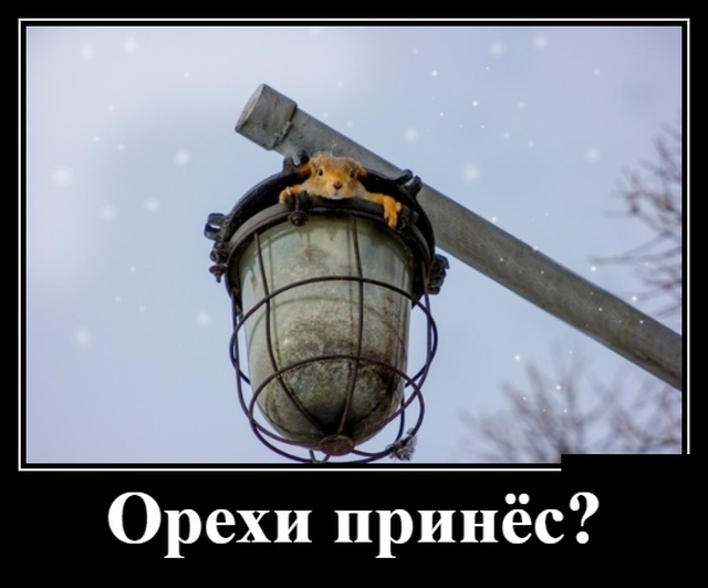 Демотиваторы среды 13.02.2019 Демотиваторы среды 13.02.2019