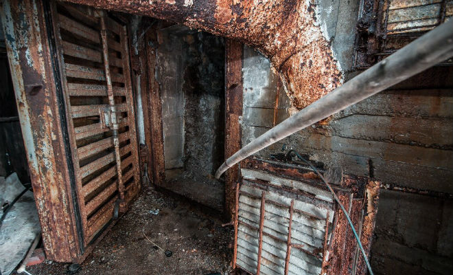 Бетонная будка на склоне скрывала вход сеть тоннелей: поисковик включил камеру и пошел внутрь Бетонная будка на склоне скрывала вход сеть тоннелей: поисковик включил камеру и пошел внутрь Культура