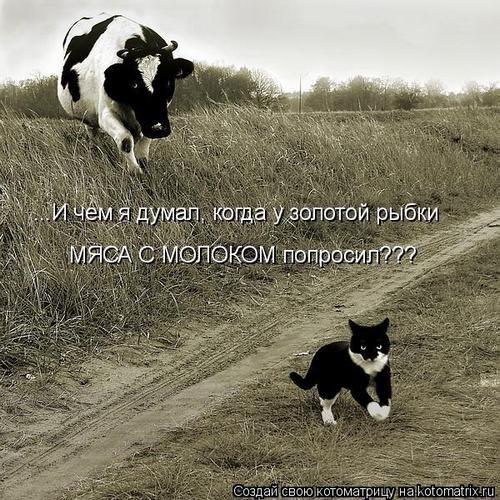 4743317_341040 (500x500, 76Kb)