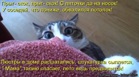 Апрельские котоматрицы