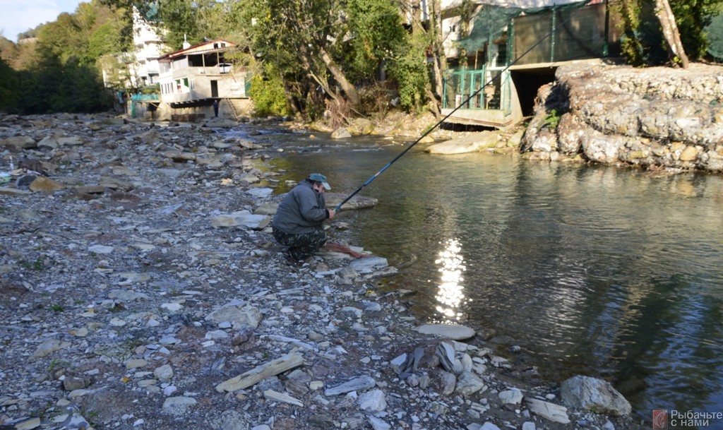 В сочи ловят. Рыба в реке Мзымта в Сочи. Река Хоста рыбалка. Речка Мзымта в Сочи рыбалка. Река Мзымта рыбалка.