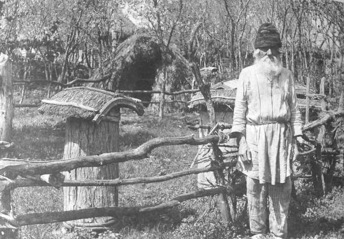 Пасечник возле пчелиных ульев. Воронежская губерния, Задонский уезд, 1908 год. 