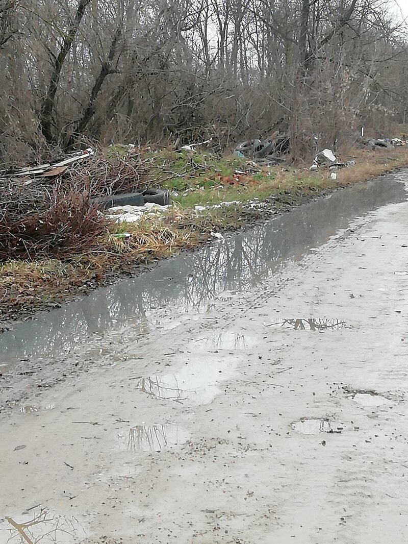 Про мусорный коллапс в Краснодаре Про мусорный коллапс в Краснодаре