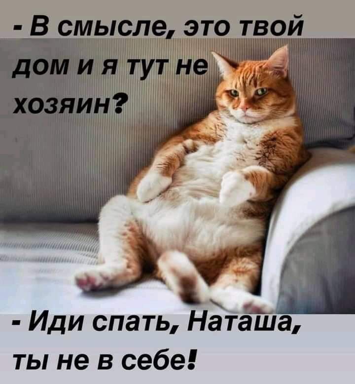 Бывает, встретишь человека. Нормальный, вроде, человек... Весёлые,прикольные и забавные фотки и картинки,А так же анекдоты и приятное общение