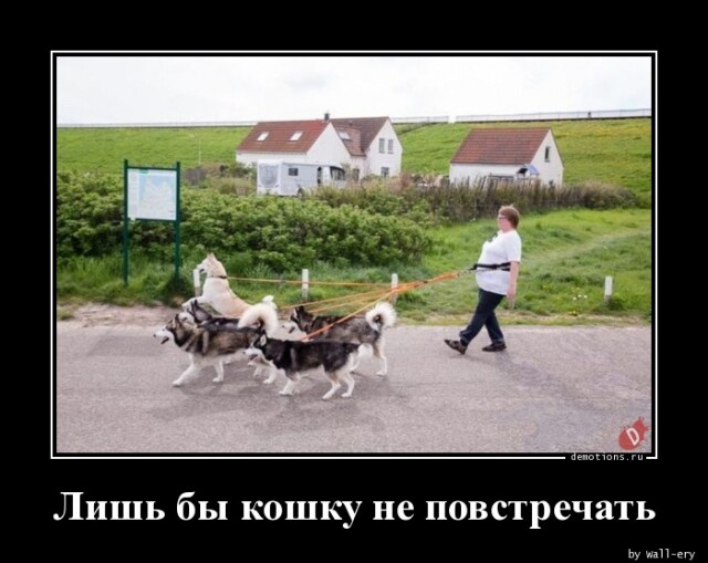 Очередная коллекция прикольных демотиваторов на любой вкус Очередная коллекция прикольных демотиваторов на любой вкус