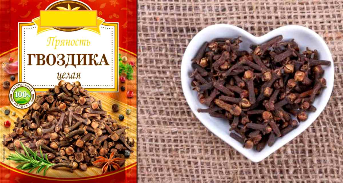 Сухая гвоздика - пряность здоровья. 5 причин жевать бутончик гвоздики каждый день