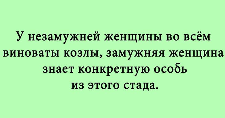 Несколько смешных историй для прекрасного настроения 