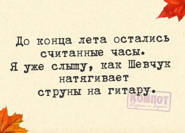 Прикольные фразочки в картинках: Последнему дню лета посвящается 