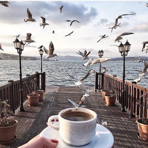 Классные и яркие картинки с фотографиями из сети