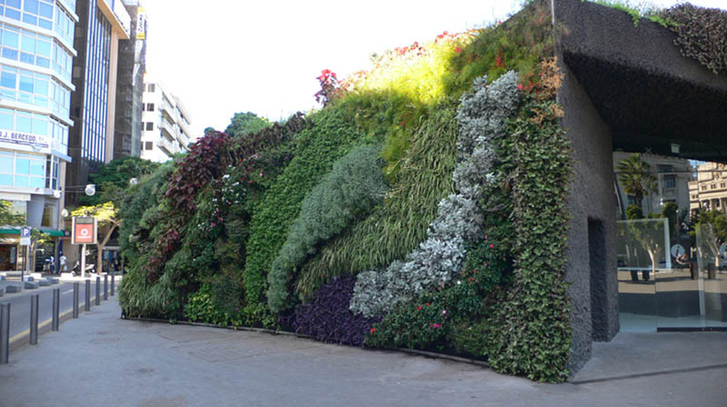 15 вертикальных садов по всему миру верткальные сады,городская среда